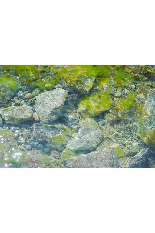 图片[39]-#Asuna Kawai 河合明日菜 – 时之滴～与你共度的那座岛上～ (NO watermark) - 全本免费在线观看-阅图吧