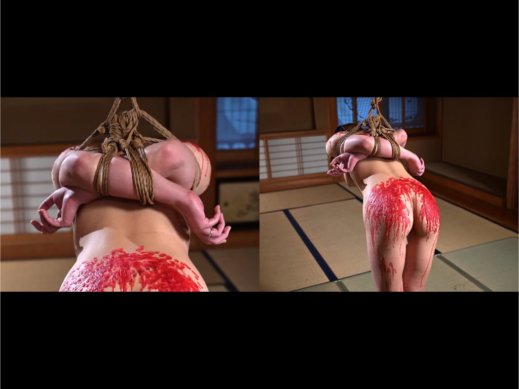 图片[16]-#岬梓 デジタル写真集 紧缚调教妻 (Pink俱乐部) - 全本免费在线观看-阅图吧