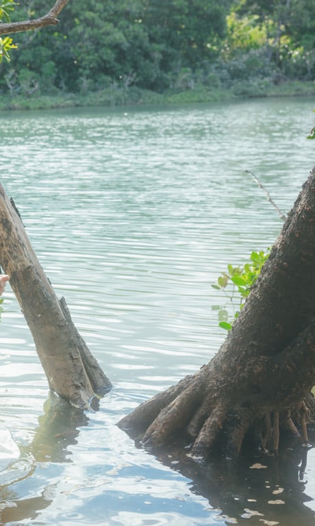 图片[95]-【大増量】田中美久写真集「到你所在的城市」 (週プレ PHOTO BOOK) - 在线免费观看-阅图吧