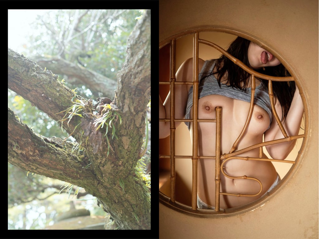 图片[52]-#望月绫香 ヌード写真集 ことの始まり - 全本免费在线观看-阅图吧