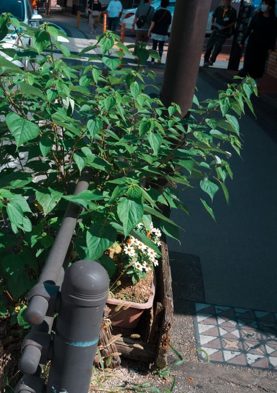 图片[20]-#極致 裸体写真集 (Wunder_Publishing_House.) - 全本免费在线观看-阅图吧