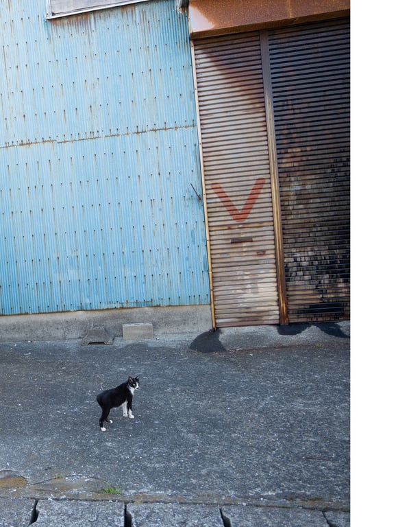 图片[152]-#染野有来首本写真集 梦之空 - 全本免费在线观看-阅图吧