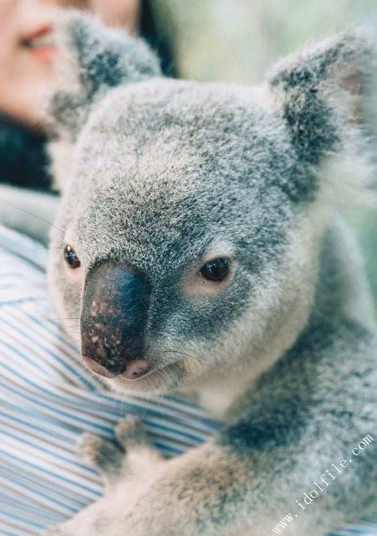 图片[44]-#馬場ふみか 马场巡游 - 全本免费在线观看-阅图吧