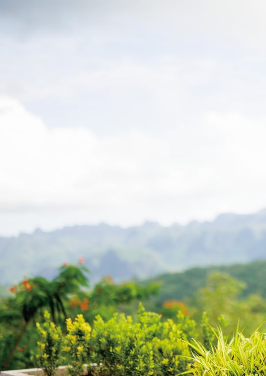 图片[14]-#アサ芸SEXY女優写真集 美谷朱音写真集 Pleasure - 全本免费在线观看-阅图吧