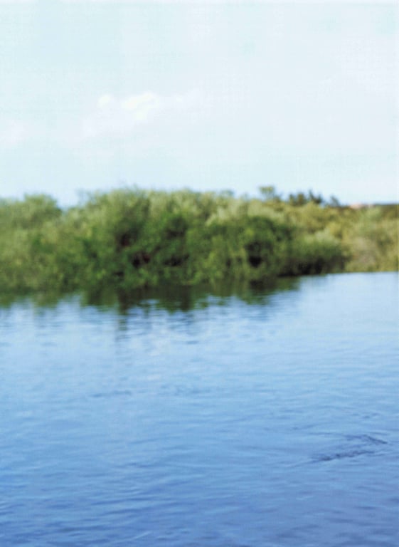 图片[13]-#堀未央奈 2nd写真集 『 曾经的约定之地 』Low - 全本免费在线观看-阅图吧