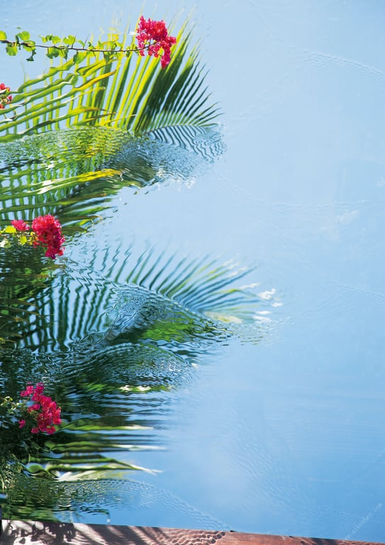 图片[36]-2024.06.12【電子版だけの特典カットつき】月刊 逢泽梨奈 - 在线免费观看-阅图吧