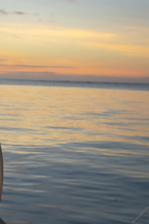 图片[140]-#CRAZY SUMMER 有贺美奈穗【裸体写真集】 - 全本免费在线观看-阅图吧