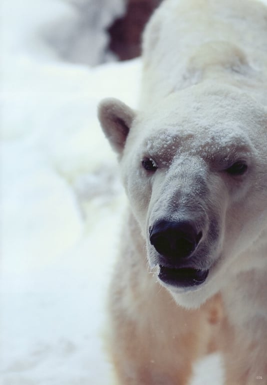 图片[24]-#杉本有美 写真集 杉本有美与1泊2日 - 全本免费在线观看-阅图吧