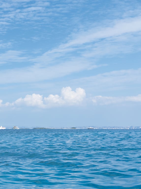 图片[46]-#森 日菜美 １ｓｔ写真集 丰富多彩。 - 全本免费在线观看-阅图吧