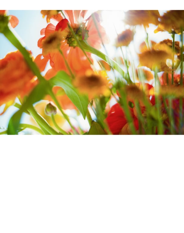 图片[98]-Mai Shiraishi 白石麻衣 - Passport 护照 (3rd scan) - 在线免费观看-阅图吧