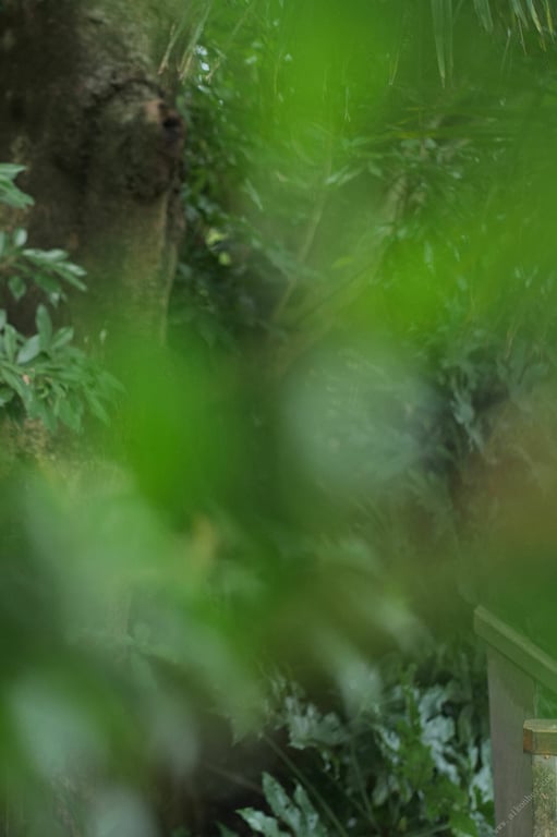 图片[27]-#Mari Takamiya & Sayaka Okada – Tile x Tile III 牌×牌III (2021-11-08) - 全本免费在线观看-阅图吧