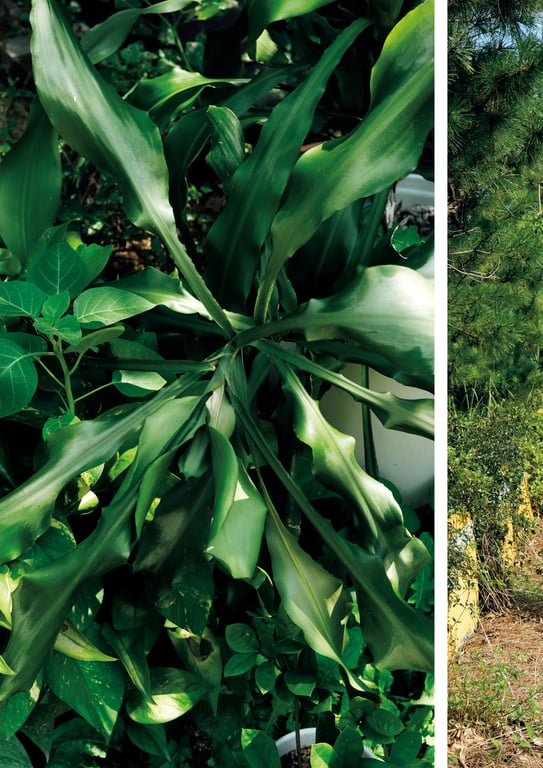 图片[97]-中田花奈 ２ｎｄ写真集 撩拨人心 - 在线免费观看-阅图吧