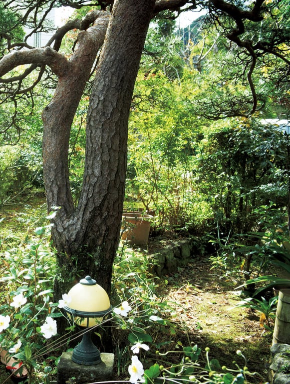 图片[16]-#飛鳥凛写真集『凛』 - 全本免费在线观看-阅图吧