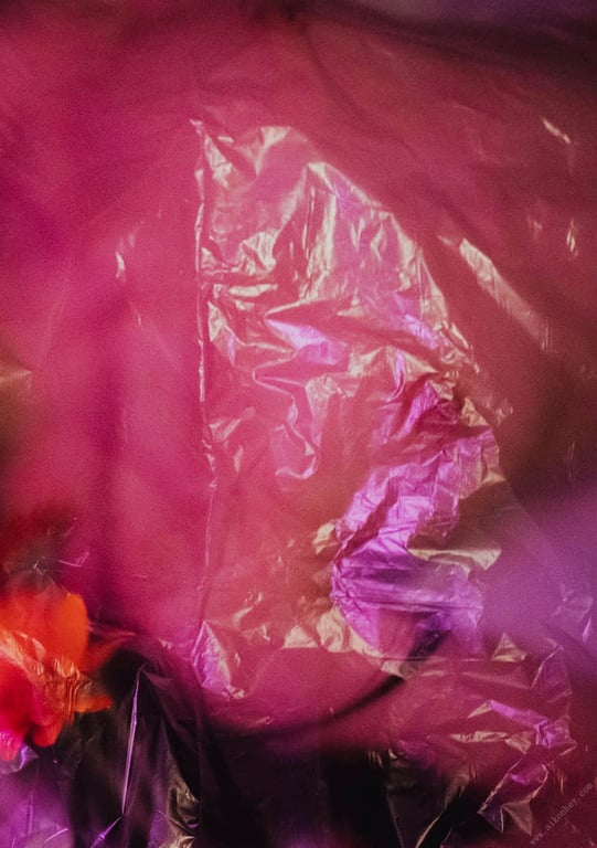 图片[72]-#Shoko Takahashi 高桥翔子 – #Escape (2021-06-21) - 全本免费在线观看-阅图吧