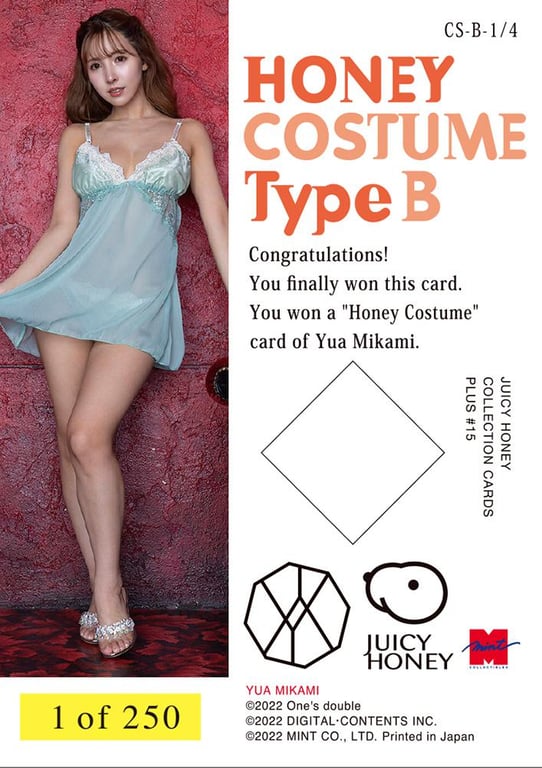 图片[15]-#JUICYHONEY PLUS#15 上亚美奈 RINGERIE (English Edition) - 全本免费在线观看-阅图吧