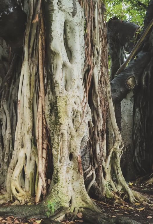 图片[96]-#Yui Ogura 小仓唯 – Yui Peace 唯之步调 (2018-05-25) - 全本免费在线观看-阅图吧