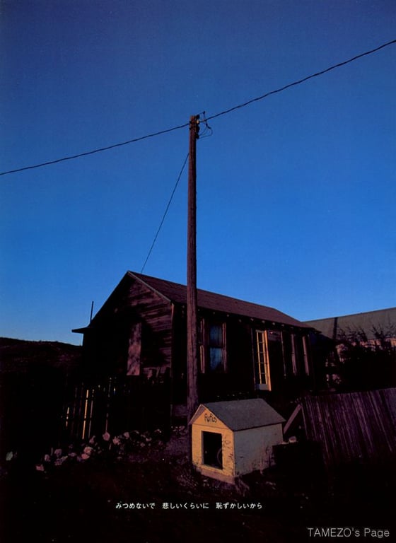 图片[17]-#乙叶 – LOVE STORY - 全本免费在线观看-阅图吧