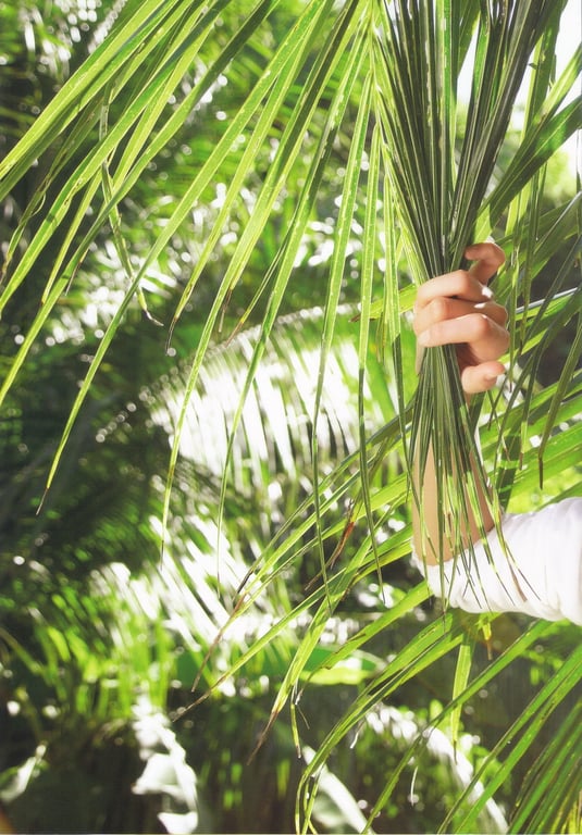 图片[7]-#熊井友理奈写真集 FLOWERAGE (2009.07.25) - 全本免费在线观看-阅图吧