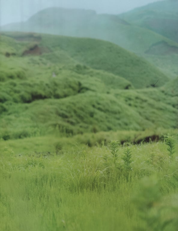 图片[5]-#欅坂46 首本写真集 『21人の未完成』\Suzumoto - 全本免费在线观看-阅图吧