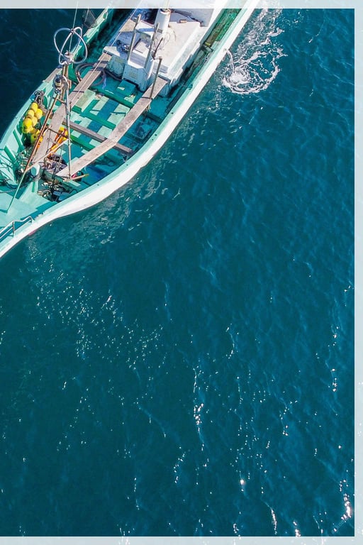 图片[42]-#幼小少女 天然美月【ヌード写真集】 - 全本免费在线观看-阅图吧