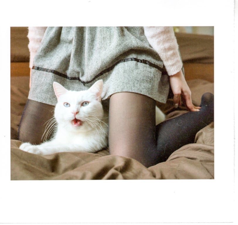 图片[69]-#青山裕企 Photobook 26sets\【青山裕企】猫与大腿 - 全本免费在线观看-阅图吧