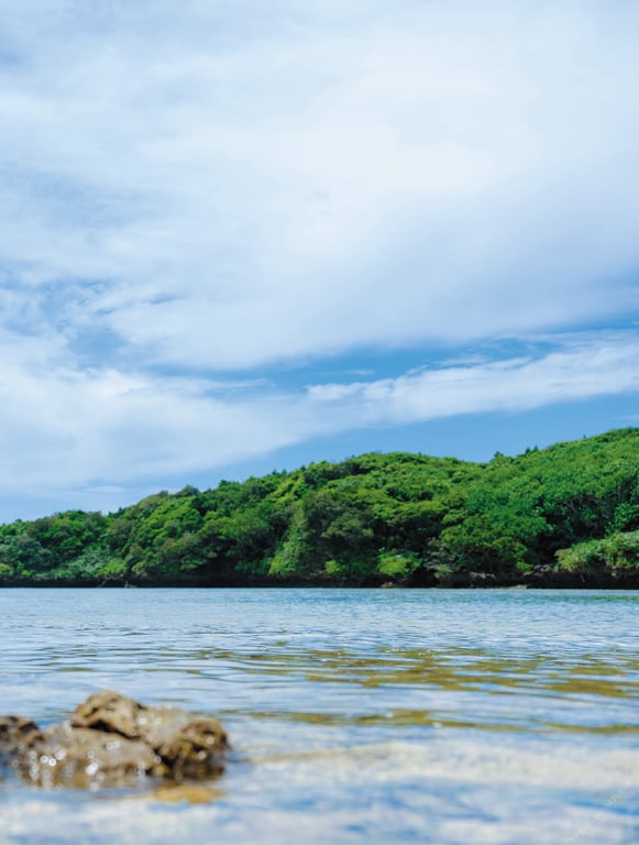 图片[52]-#MINAMO首本写真集 アサ芸SEXY女優写真集 - 全本免费在线观看-阅图吧