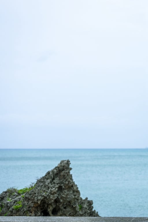 图片[45]-#Remu Suzumori 凉森玲梦 – In a transparent world 在通透的世界中 (2021-11-19) - 全本免费在线观看-阅图吧