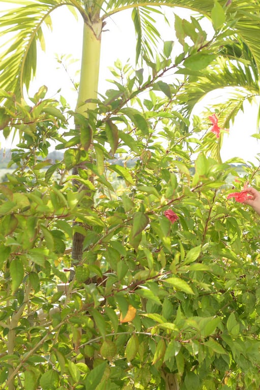 图片[71]-#小宵こなん 棉花糖H杯 ｖｏｌ．２ 全未公开100张超完全版 ＦＲＩＤＡＹ数码写真集 - 全本免费在线观看-阅图吧