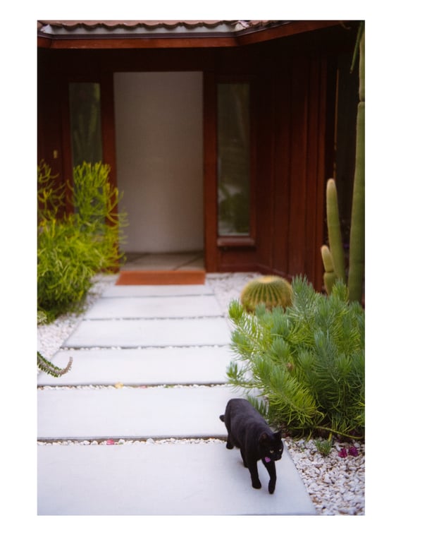 图片[54]-白石麻衣写真集「护照」 (new scan) - 在线免费观看-阅图吧