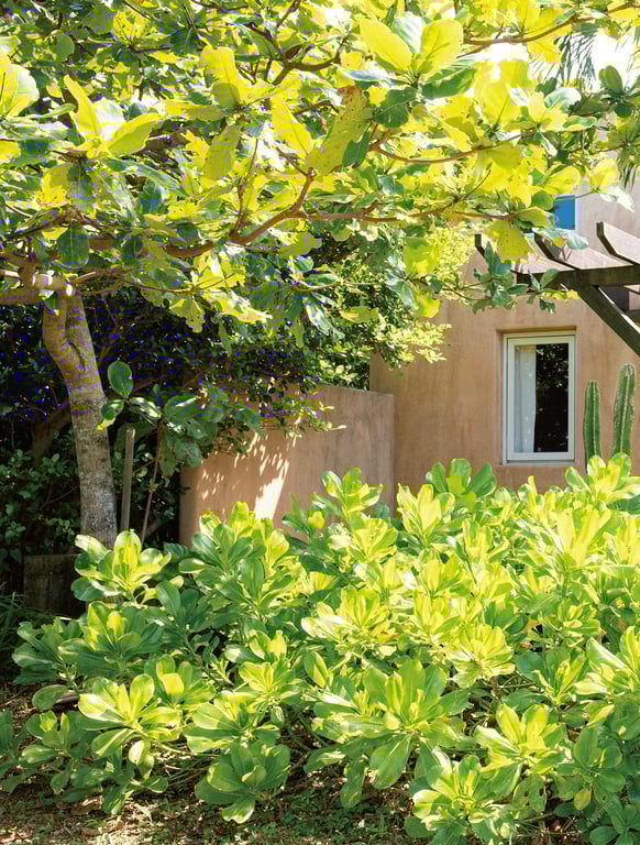 图片[6]-Nozomi Ishihara 石原希望 – Hopeful (2020-10-30) - 阅图吧-阅图吧