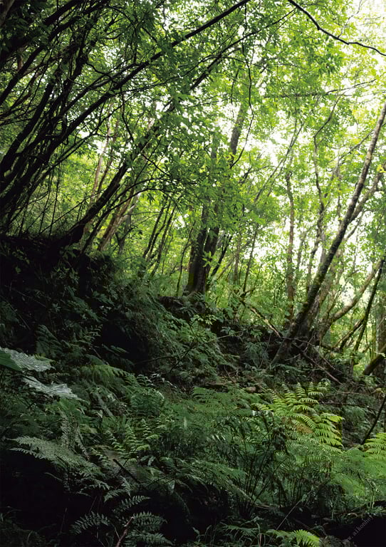 图片[45]-#Gimme！ 神宫寺奈绪写真集 - 全本免费在线观看-阅图吧