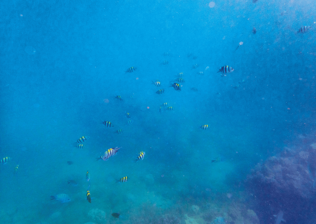 图片[19]-奥山かずさ 1st 写真集 和纱 - 在线免费观看-阅图吧