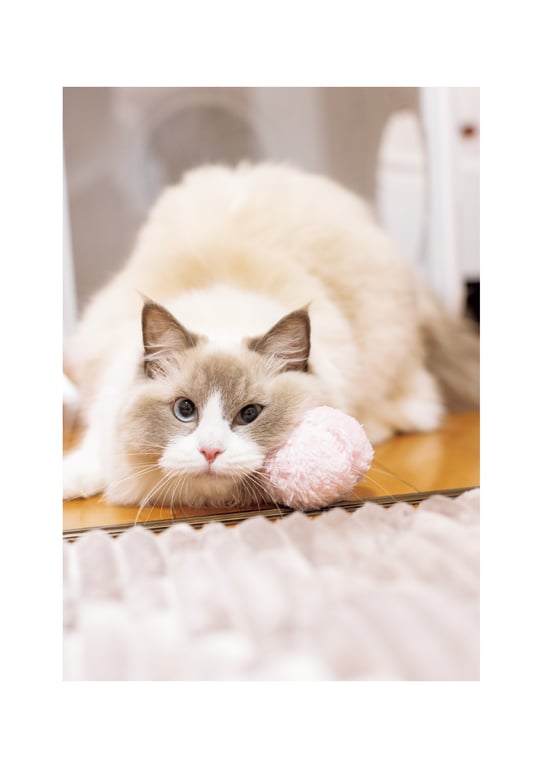 图片[38]-2024.03.20 石川澪写真集「21」 - 在线免费观看-阅图吧