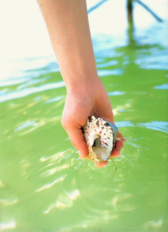 图片[32]-#Maki Goto 后藤真希 – maki (2003-03-21) - 全本免费在线观看-阅图吧