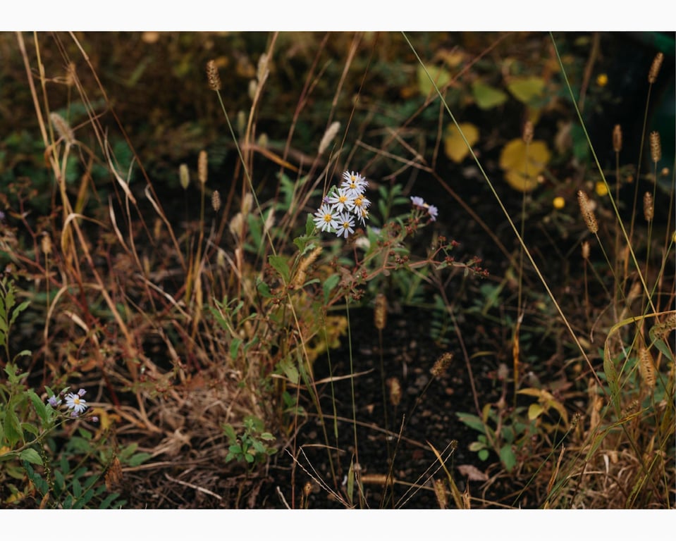 图片[189]-#ときめき。かれしちゃん e-book (wunder publishing house) - 全本免费在线观看-阅图吧