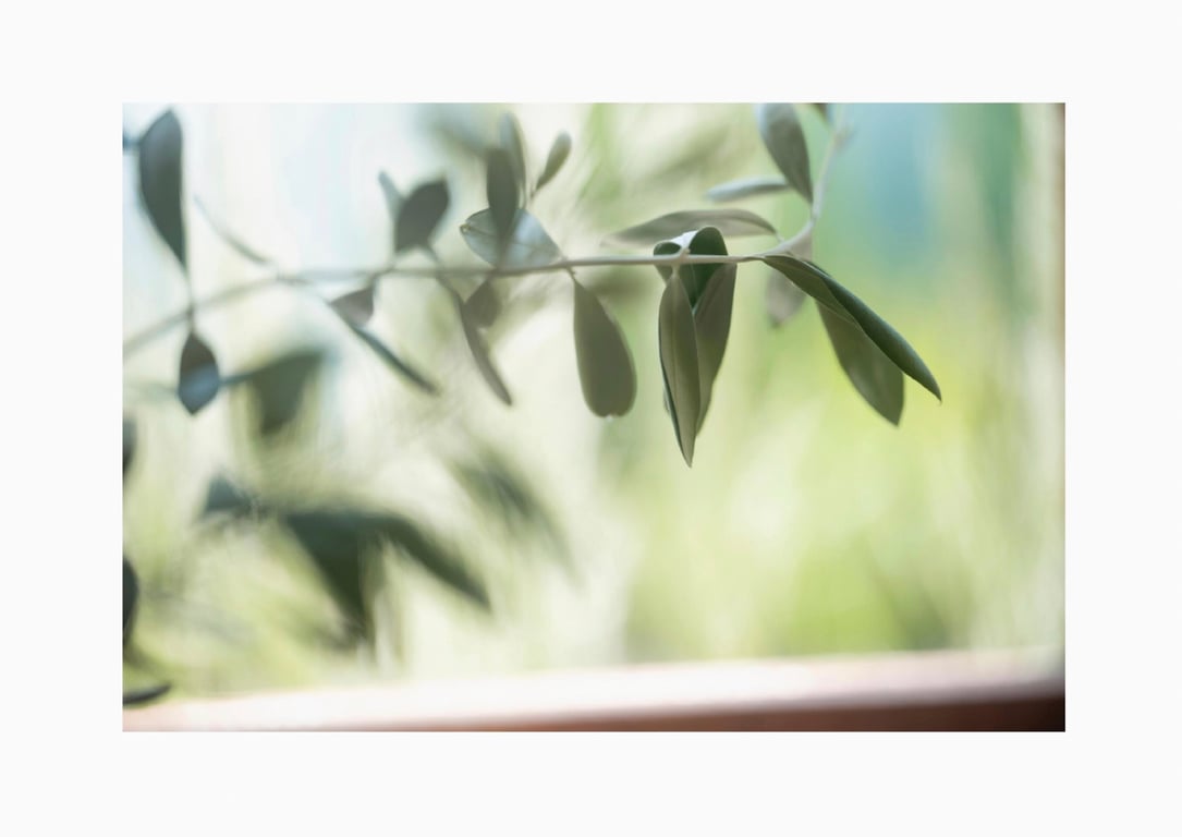 图片[78]-#まめだいふく どこ、みてるの？ (Wunder Publishing Hoouse) - 全本免费在线观看-阅图吧