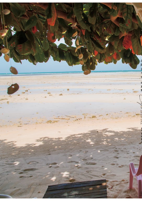 图片[133]-#【仅电子版特典照片附赠】永尾麻理亚写真集『Capricious』 - 全本免费在线观看-阅图吧