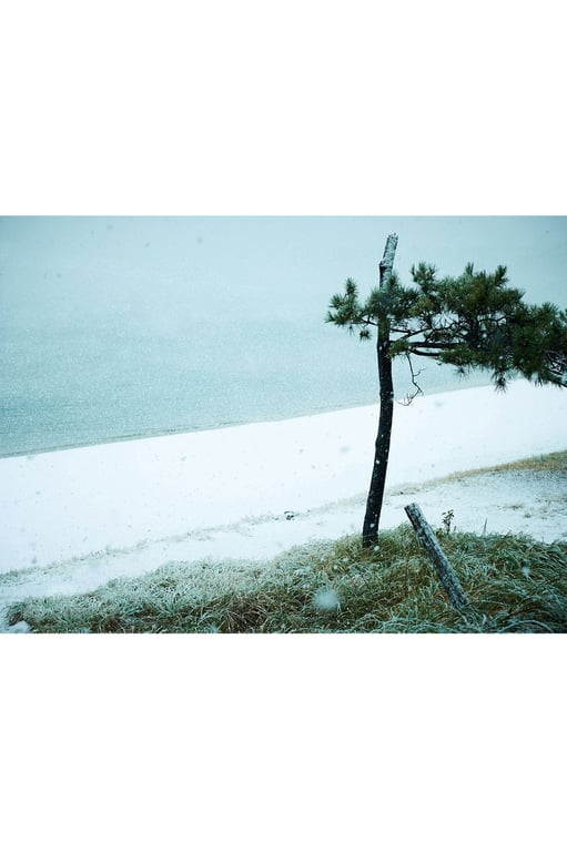 Sara Oshino 忍野莎拉 - 21岁的G罩杯女大学生 (2017.01.27)-阅图吧