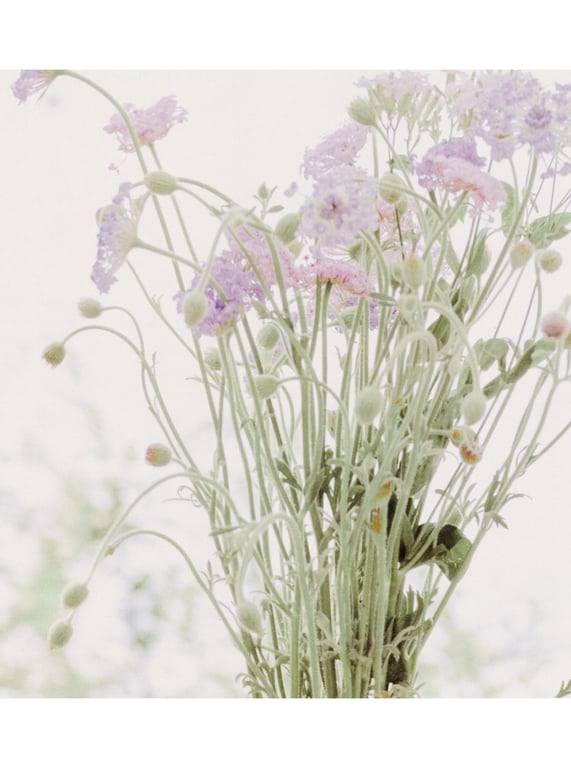 图片[63]-#Sakura Miyawaki 宫胁咲良 Graduation Visual Booklet - 全本免费在线观看-阅图吧