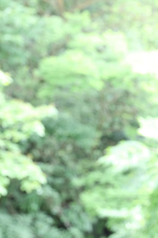 图片[14]-#Suzume Mino 美乃雀 – Mino Woman of Kobe 神户的女人 美乃 (2019-08-19) - 全本免费在线观看-阅图吧