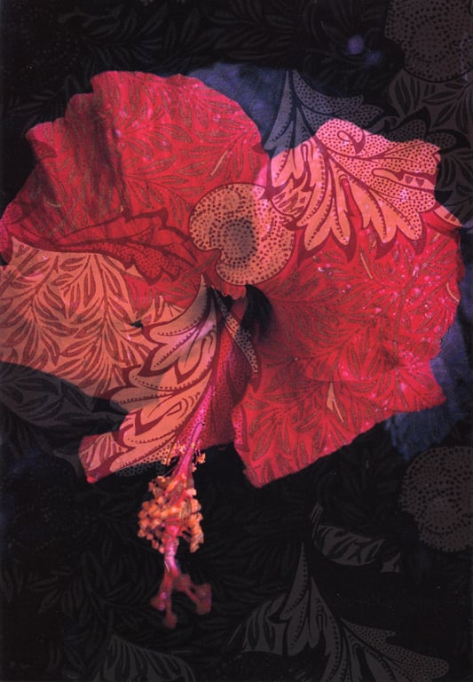 图片[4]-#釈由美子 – CHAOS - 全本免费在线观看-阅图吧