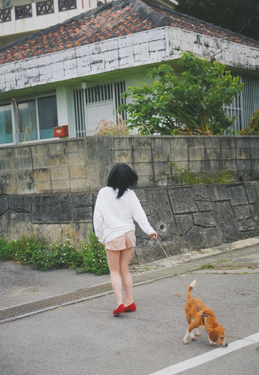 图片[113]-#小野惠令奈 – 傲娇！~归来的惠惠(18)~ - 全本免费在线观看-阅图吧