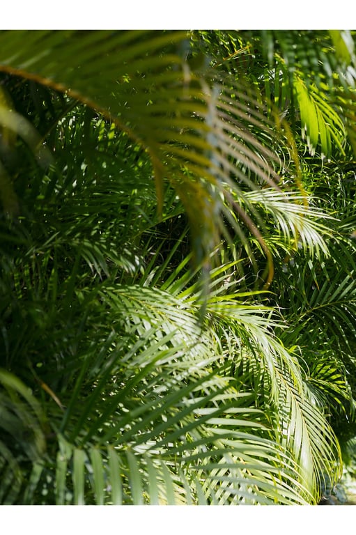 图片[4]-#週刊Post Digital写真集 志田音々 夏威夷的ねねまる假日(2023-12-18) - 全本免费在线观看-阅图吧