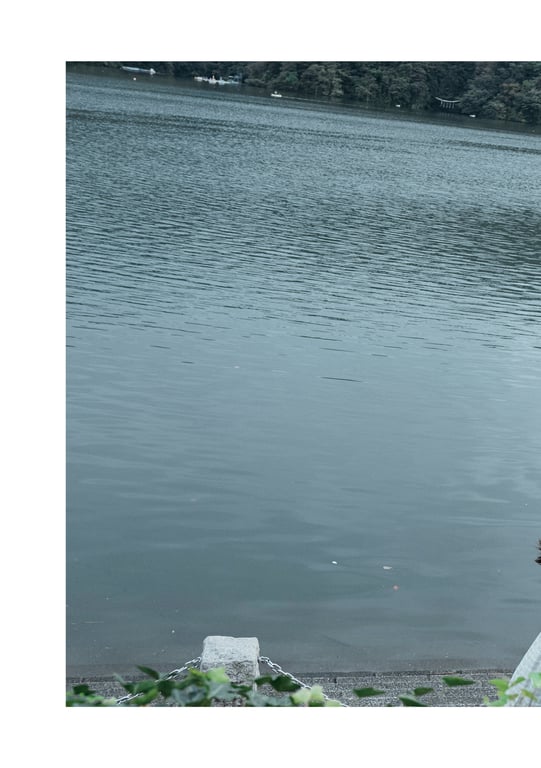 图片[125]-河北彩花 数码写真集 被拍走(No Watermark) - 在线免费观看-阅图吧