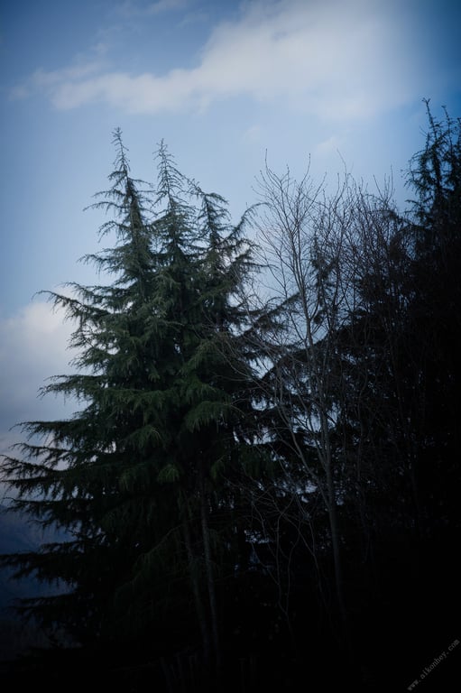 图片[89]-#染谷有香 HoneyTrap 周刊Post数字写真集 - 全本免费在线观看-阅图吧