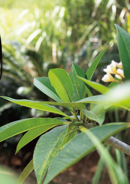 图片[2]-#朝田ひまり ファースト写真集 「Sunny Spot」 - 全本免费在线观看-阅图吧