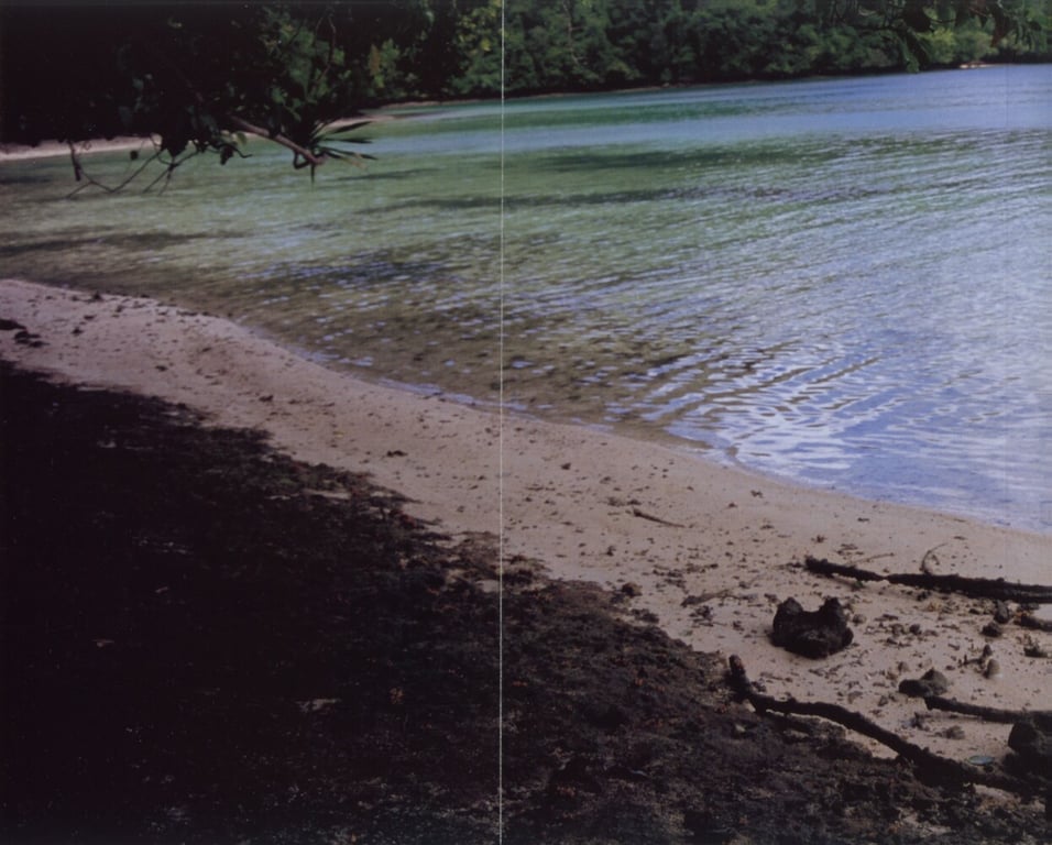 图片[79]-#桜朱音 – 朱音 - 全本免费在线观看-阅图吧