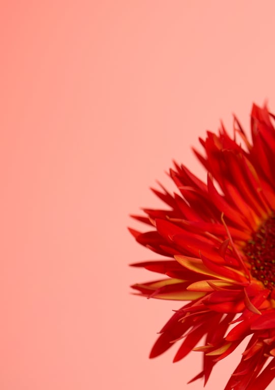 图片[134]-#2022.06.10 AV最高峰 S級GIRLS GROUP S1キャンペーン No.1 Photo Book S級版 - 全本免费在线观看-阅图吧