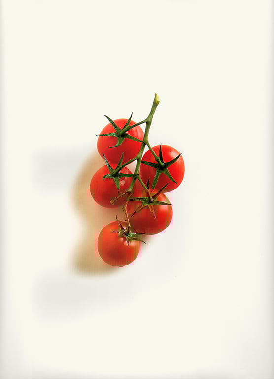 图片[5]-#Haruka Igawa 井川遥 – Tomato 西红柿 トマト」(20030223) - 全本免费在线观看-阅图吧