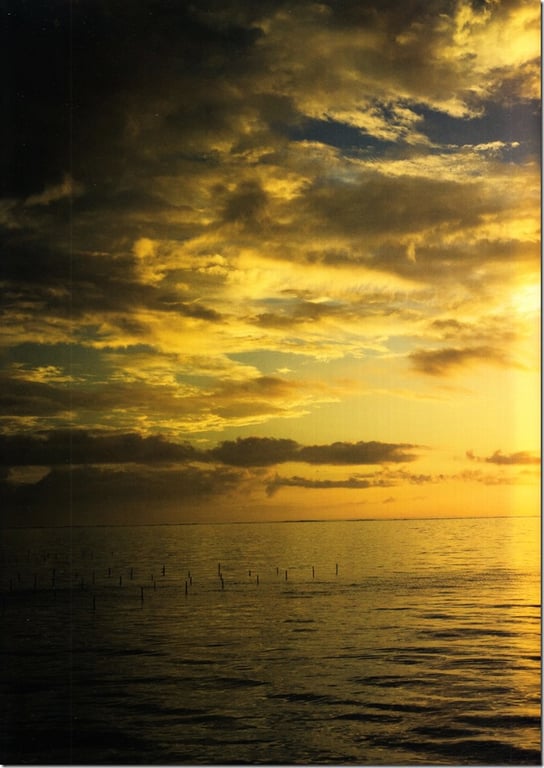 图片[49]-#Rino Sashihara 指原莉乃 – Lost to a cat 输给了猫 (2013-12-26) - 全本免费在线观看-阅图吧